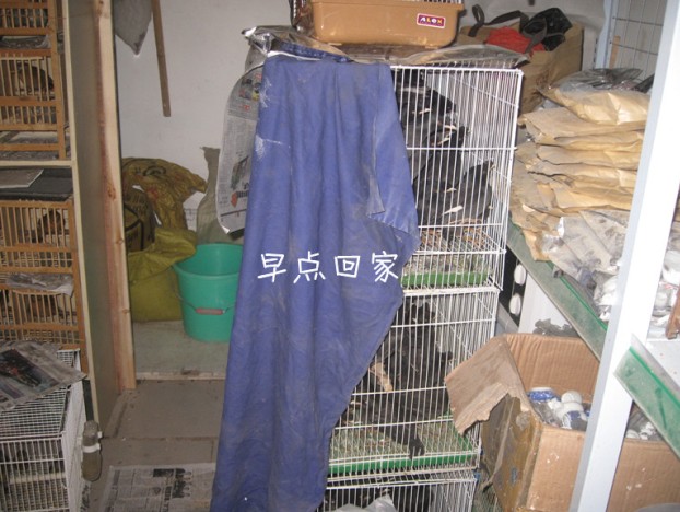 HW~I~8DDEFQ8PD@4625BQ9X.jpg