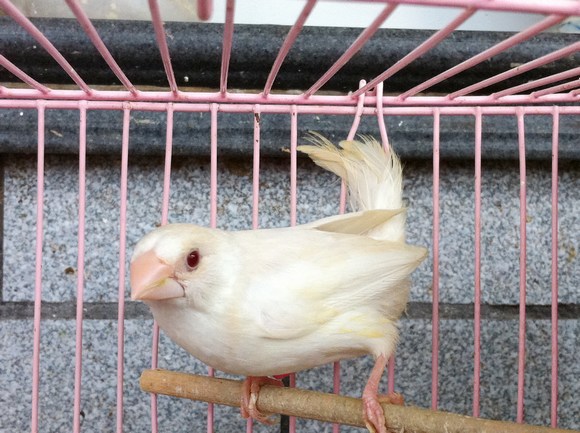 照片 049.jpg