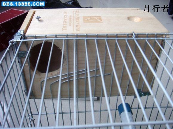 月行者1.jpg