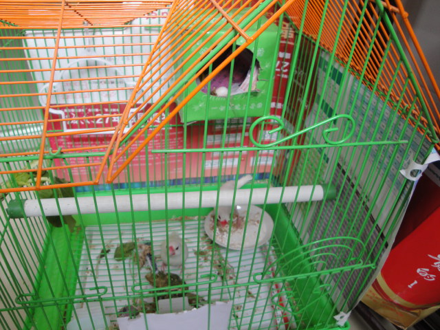 DSC04428.JPG