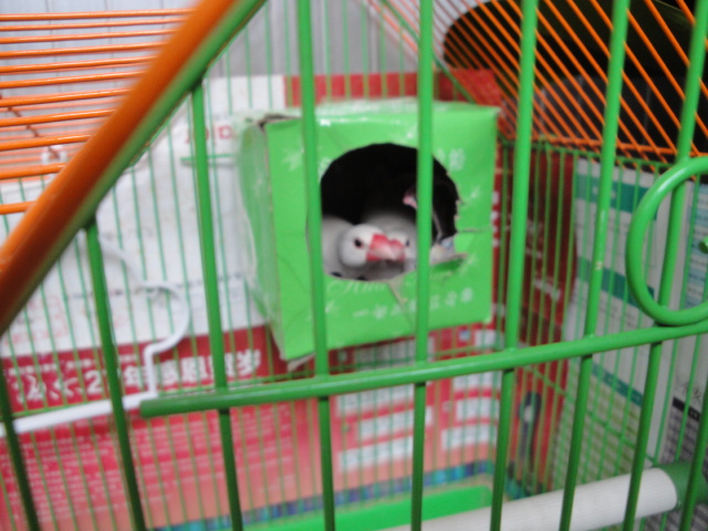 DSC04468.JPG