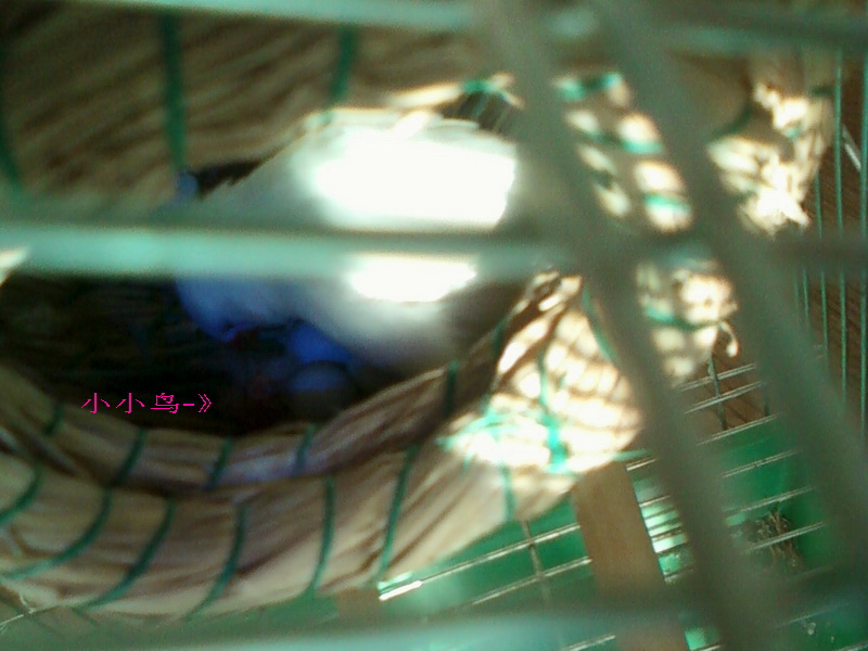照片-0074.jpg
