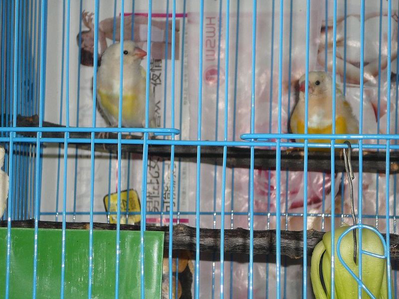 P1020410.JPG