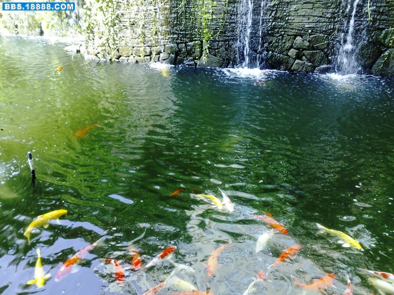 照片 352.jpg