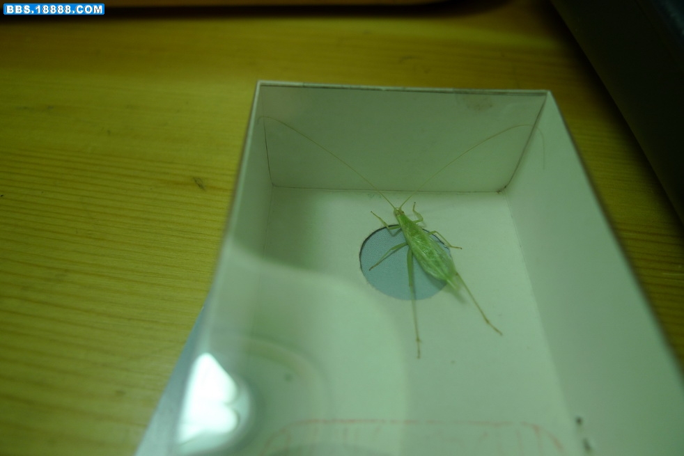 P1000944_调整大小.JPG