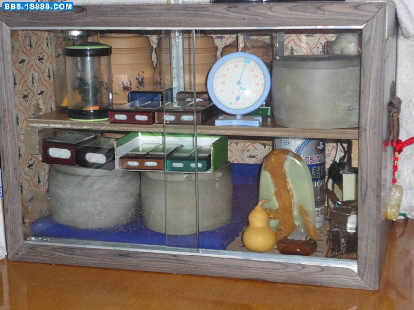 DSC01466_副本.jpg