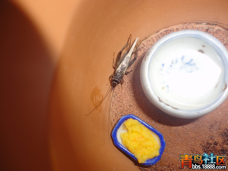 DSC01493_副本.jpg