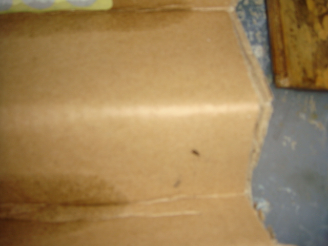 DSC05694.JPG