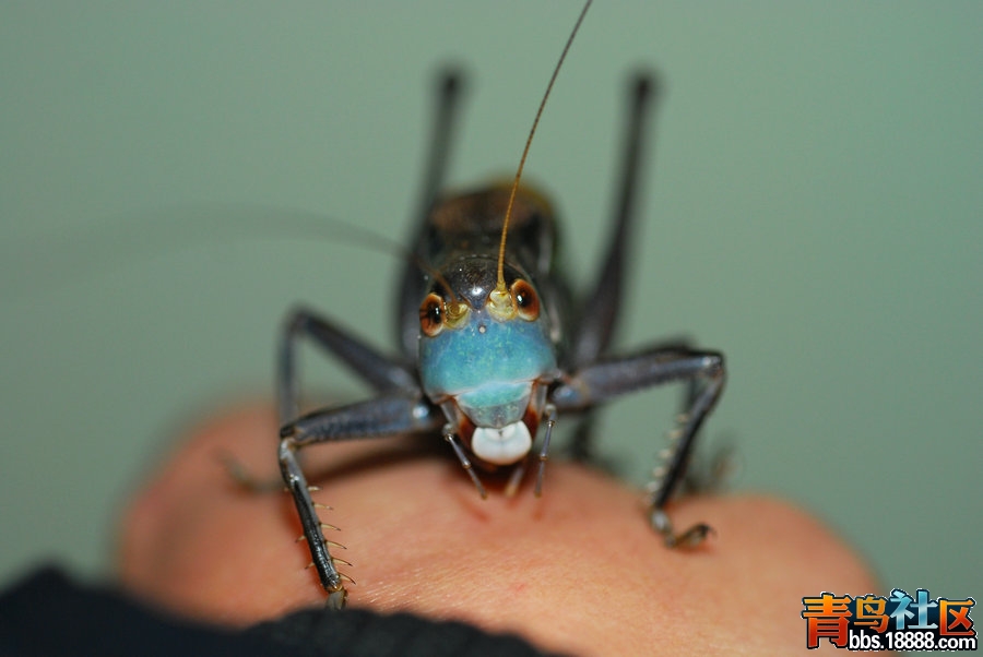 DSC_5815.JPG