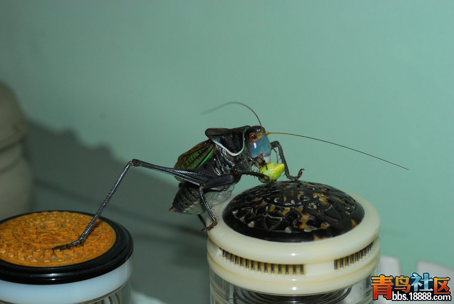 DSC_5814.JPG