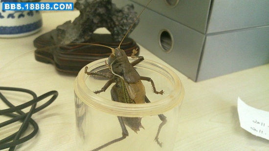 20111212_005.jpg