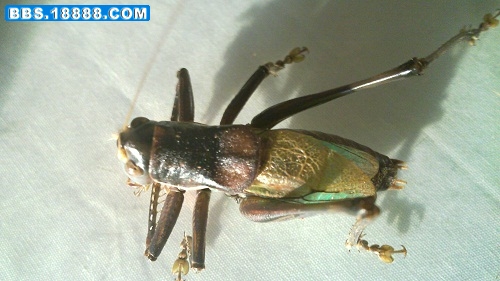 20111203_003.jpg