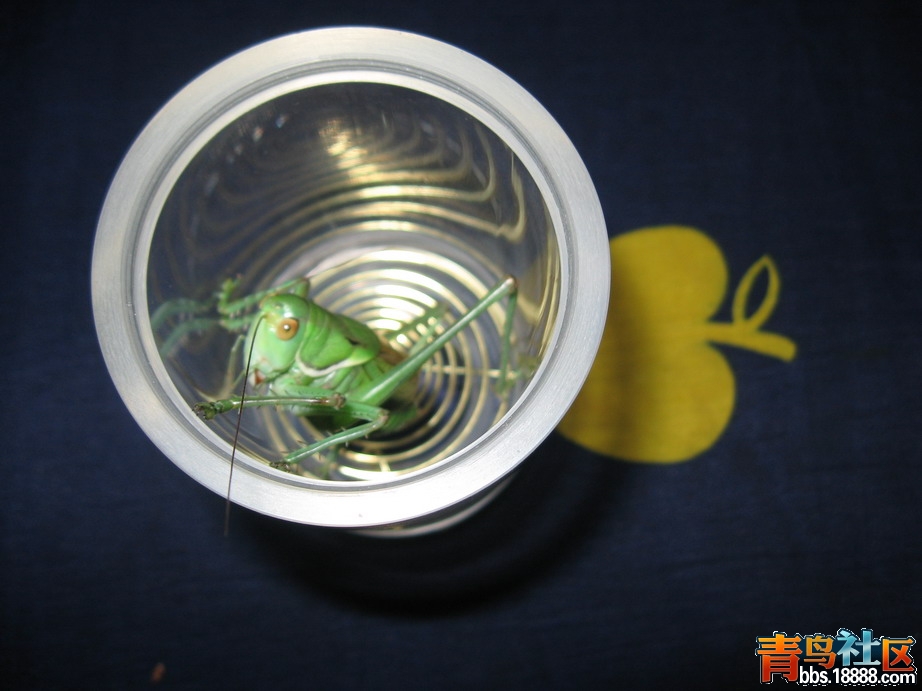 IMG_5186_调整大小.JPG