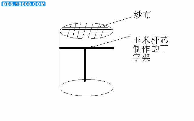 未命名a.jpg