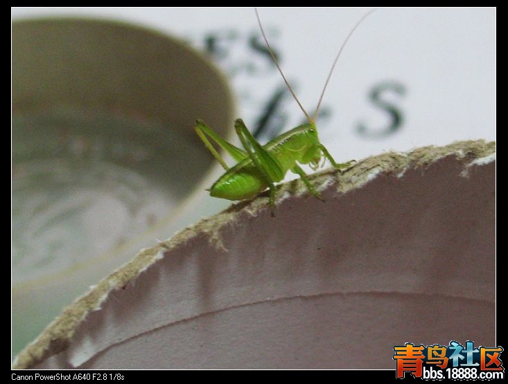 nEO_IMG_照片 002.jpg