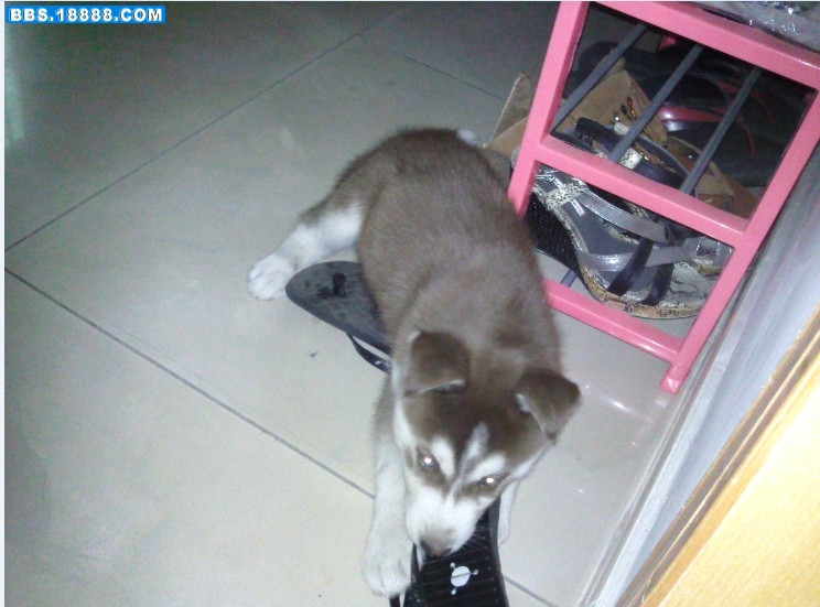 QQ截图20111203001445.jpg