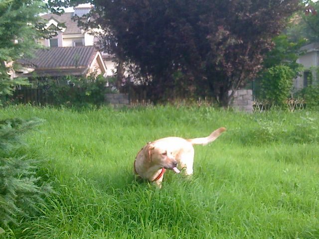 0727_075308.jpg
