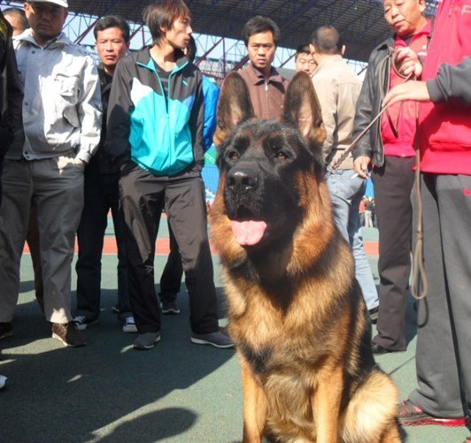 未命名35.jpg