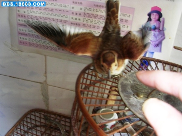DSCN9647.JPG