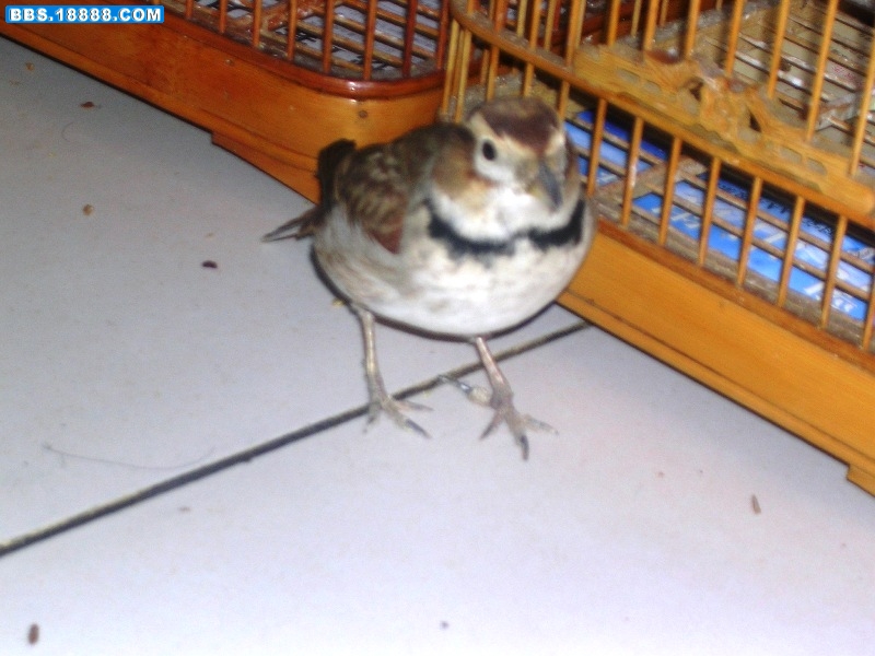 DSCN8206.JPG