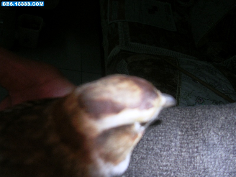 DSCN8193.JPG