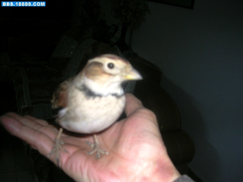 DSCN8189.JPG
