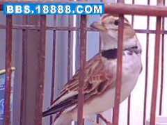 img0007a_副本.jpg