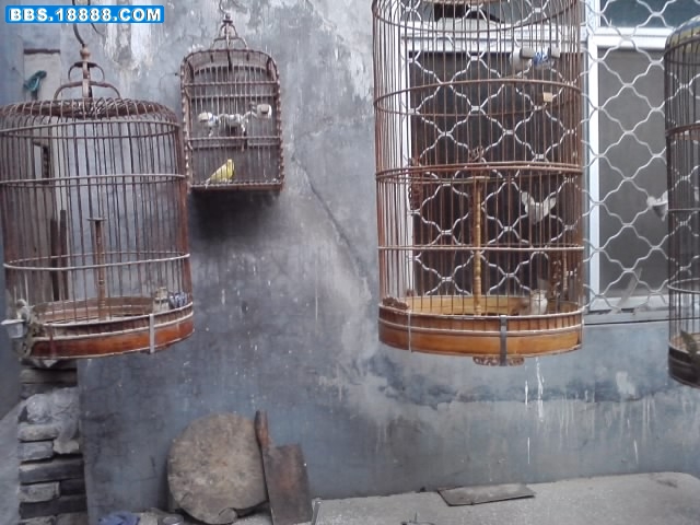 P141211_16.18_[03].jpg
