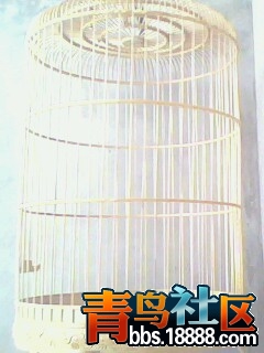 IMG0794A.jpg