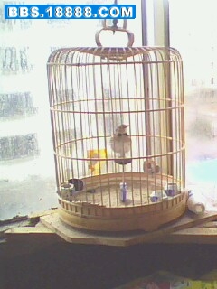 IMG0745A.jpg
