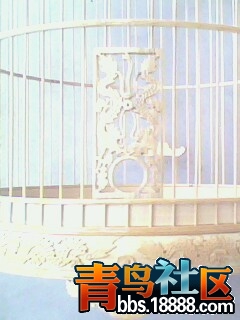 IMG0795A.jpg
