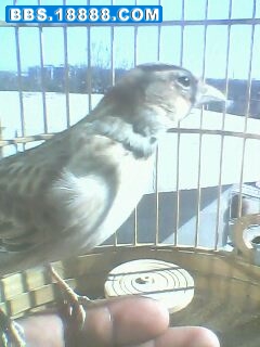 IMG0167A.jpg