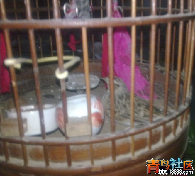 QQ截图20111226205806.jpg