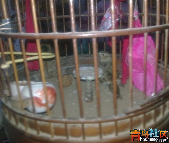 QQ截图20111226205820.jpg