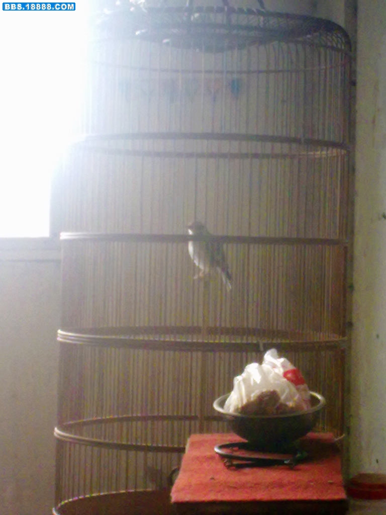 201110301379.jpg