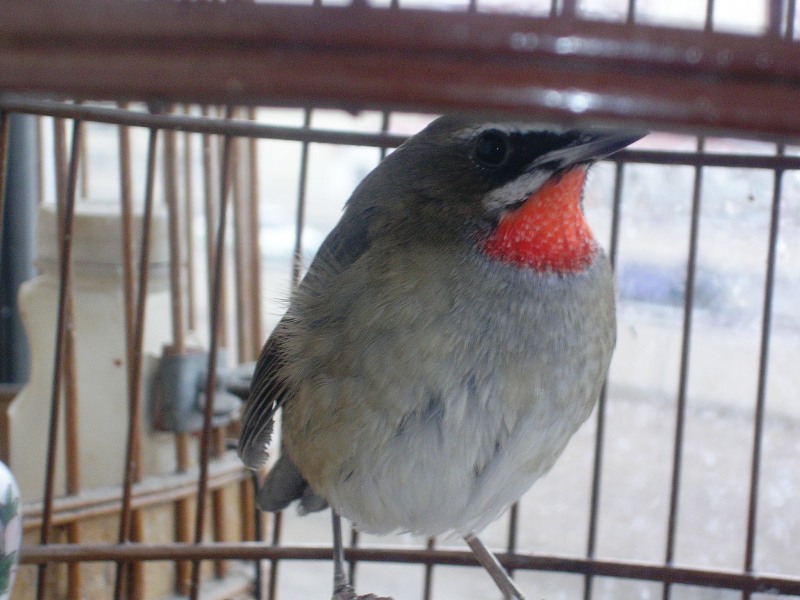 DSCN9493.JPG