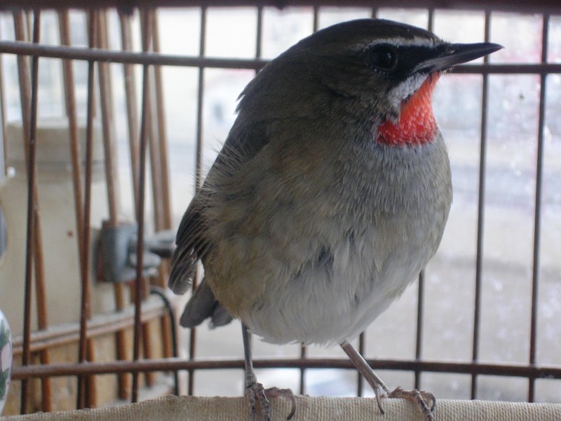 DSCN9494.JPG