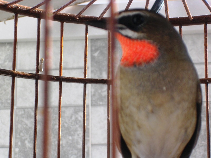 DSCN8971.JPG