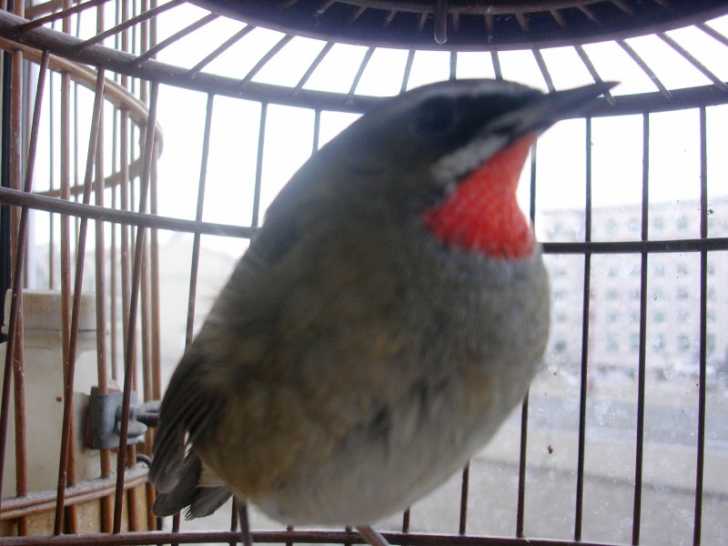 DSCN9497.JPG
