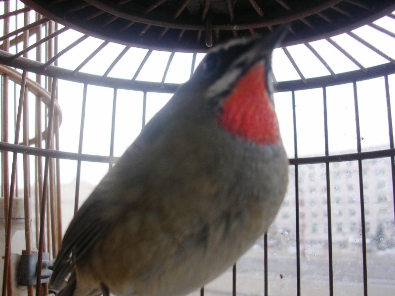 DSCN9499.JPG