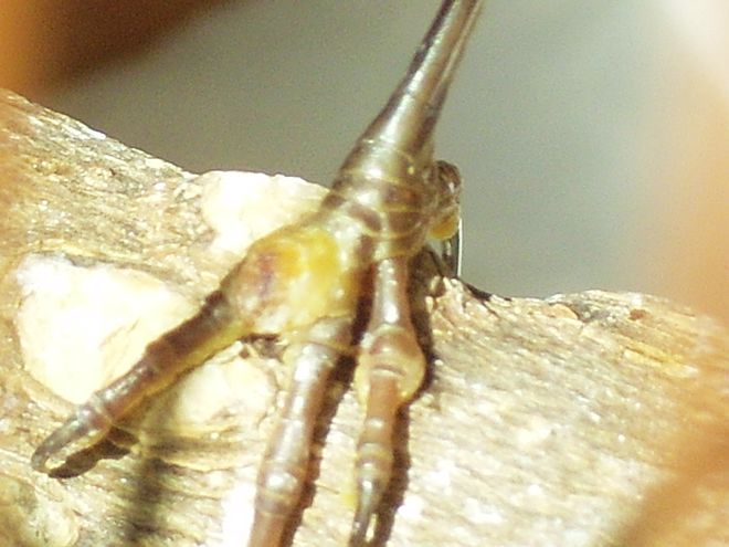 nEO_IMG_S1050213.jpg