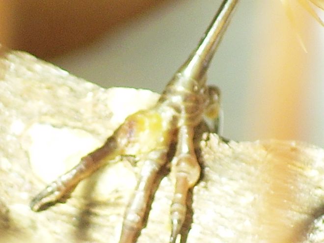 nEO_IMG_S1050212.jpg