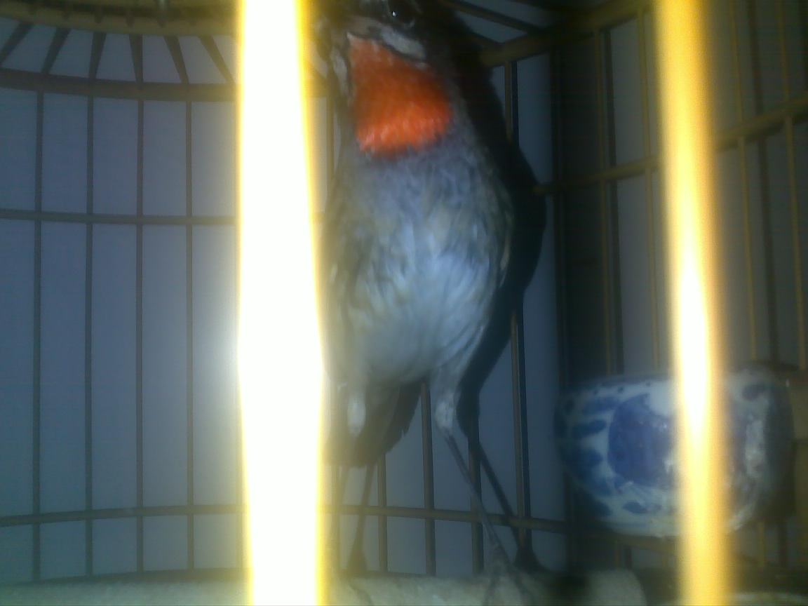 201112311322.jpg