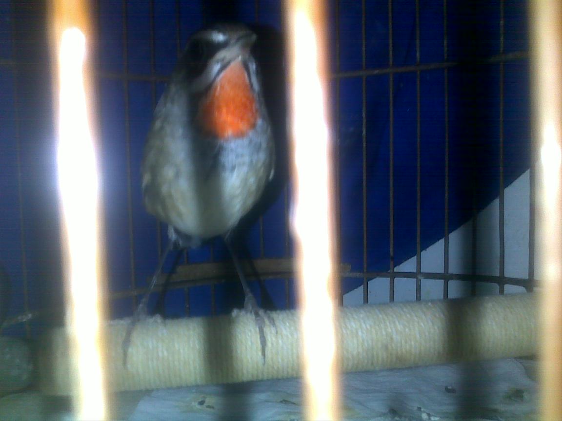 201112021097.jpg
