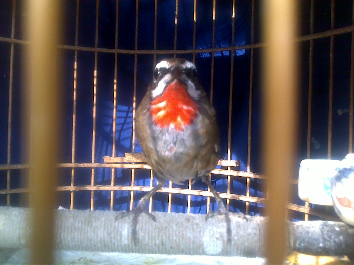 201112101188.jpg