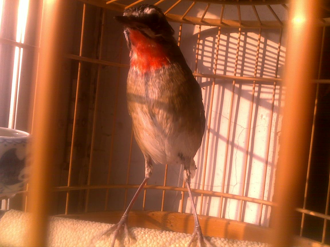 201112271242.jpg