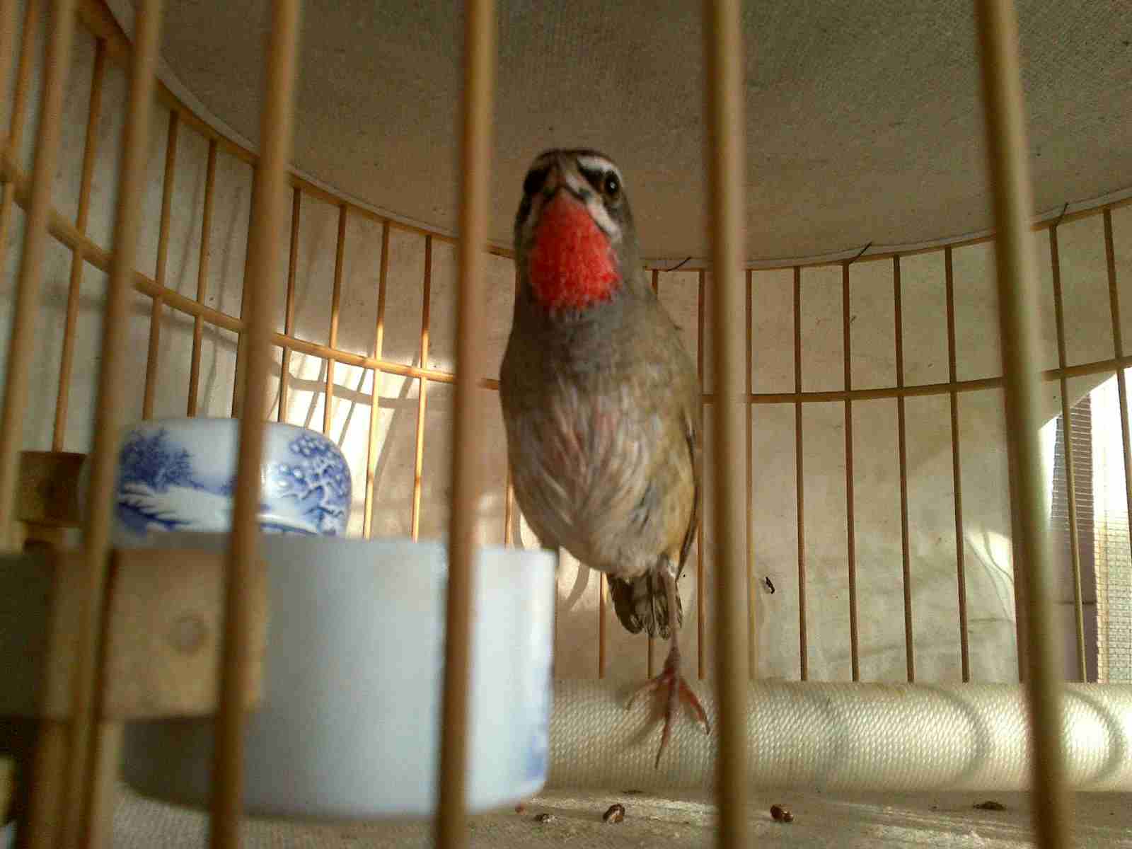 20111222203.jpg