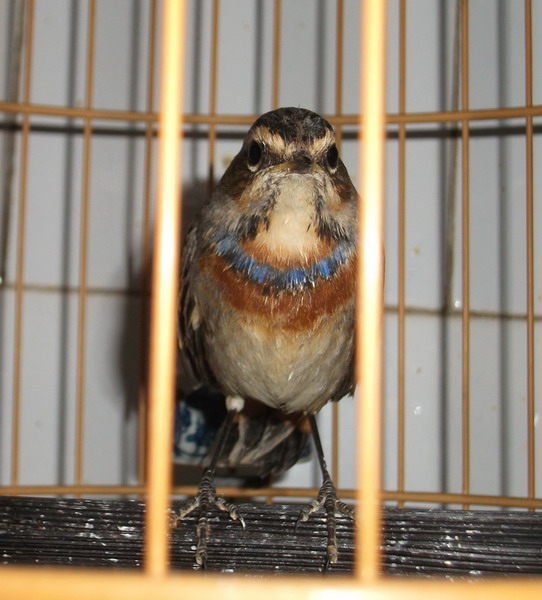 DSCF3834_缩小大小.JPG