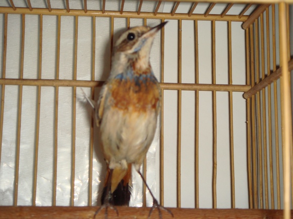 DSC04916.jpg
