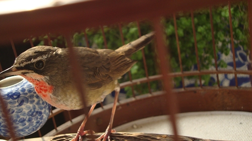 DSC05592.JPG